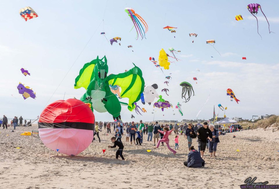 Check out a sky full of spectacular kites at the LBI Fly International Kite Festival. Photo by Wayne Herrschaft