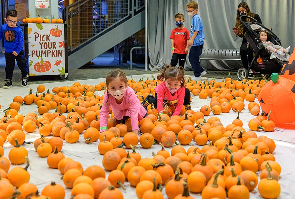 Indigenous Peoples Day Weekend in New Jersey: Best Things To Do with Kids There's fun indoors and out during the Liberty Science Center's Fall Fest, including the return of the Spider Maze. Photo courtesy of LSC
