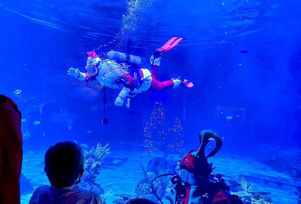 Adventure Aquarium invites holiday lovers to splash into the spirit of Fishmas. Photo by  Lisa Warden