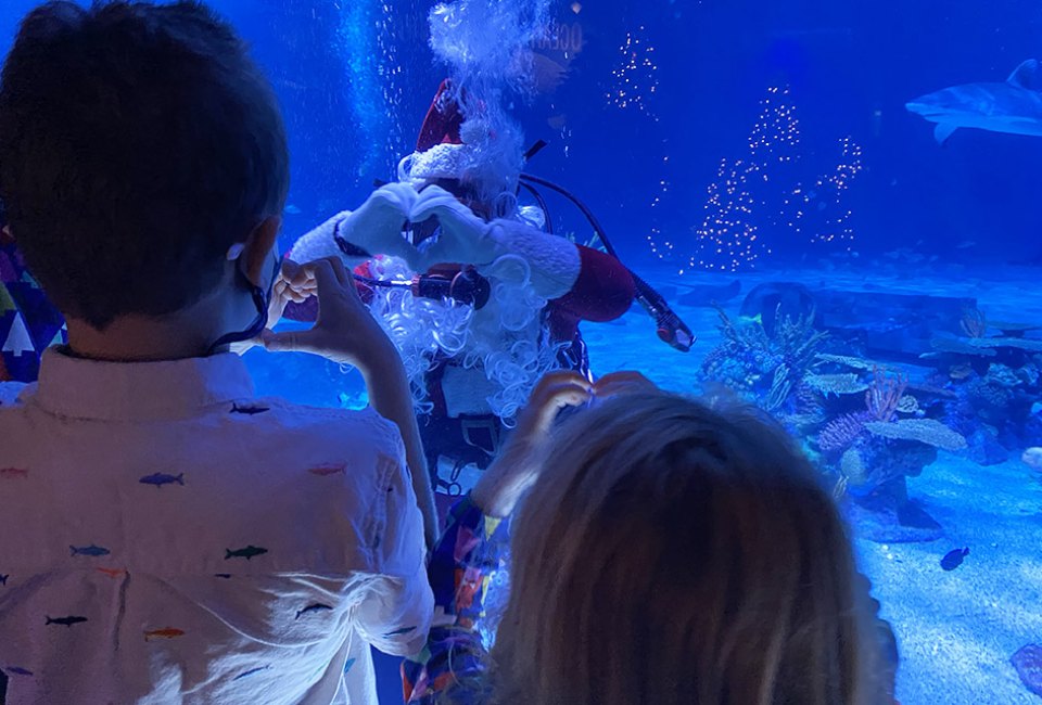 NJ Winter Day Trips Scuba Santa Adventure Aquarium
