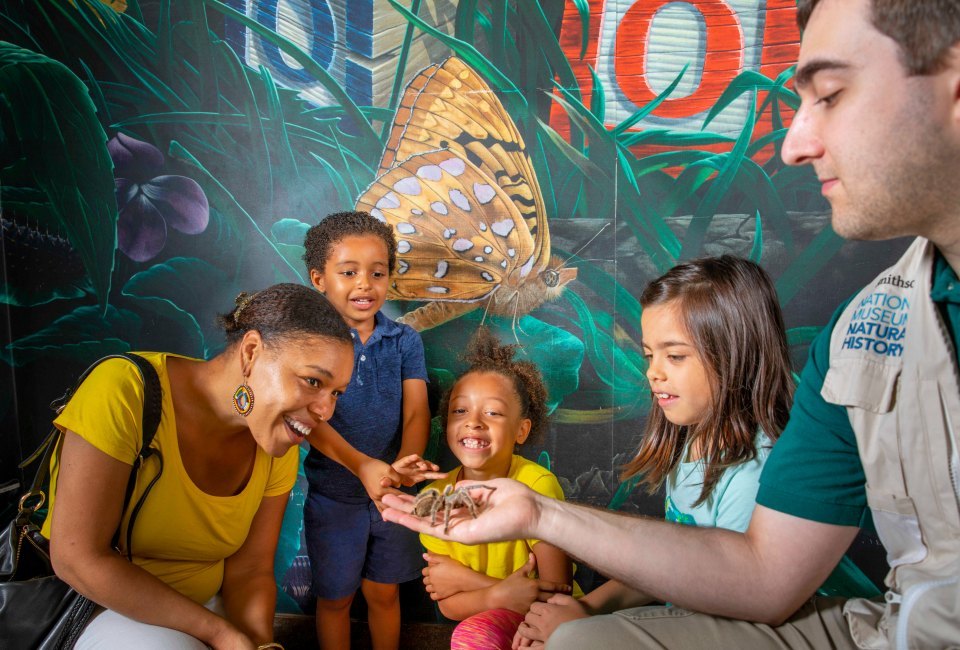 The National Museum of Natural History is free every day. Photo by Paul Fetters for the Smithsonian