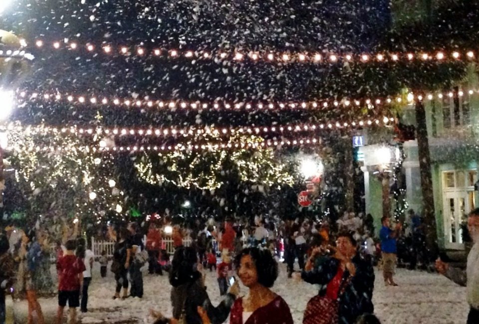 'snow' flurries in the town of Celebration Florida