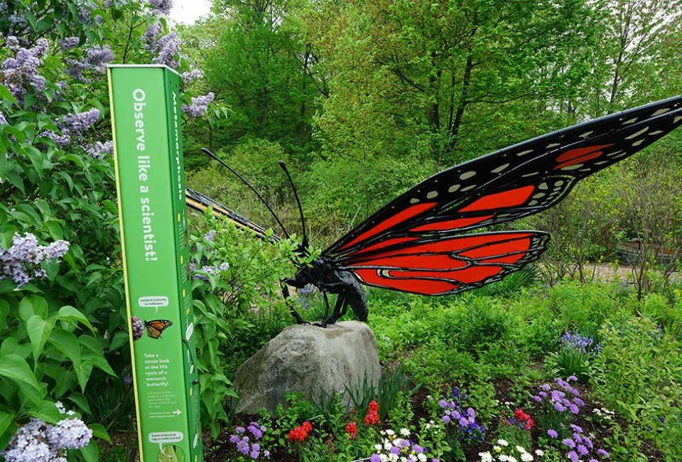 NYBG's Beloved Children's Garden Welcomes Guests Following Multi-Year Renovation Spot butterflies—real and supersized—when you explore the newly reopened Everett Children's Adventure Garden at the New York Botanical Garden.