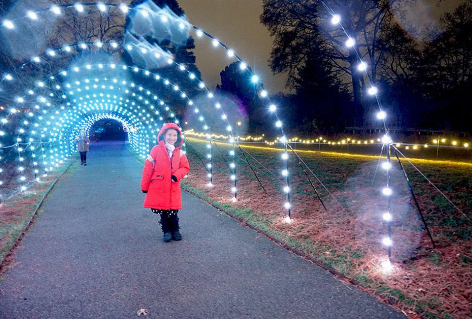 NYBG Glow offers a beautiful after-dark experience in the expansive landscape. Photo by Jody Mercier