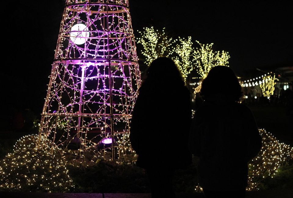 girls silouhetted New York Botanic Garden NYBG’s Newest Installation Makes the Holidays GLOW for NYC Families
