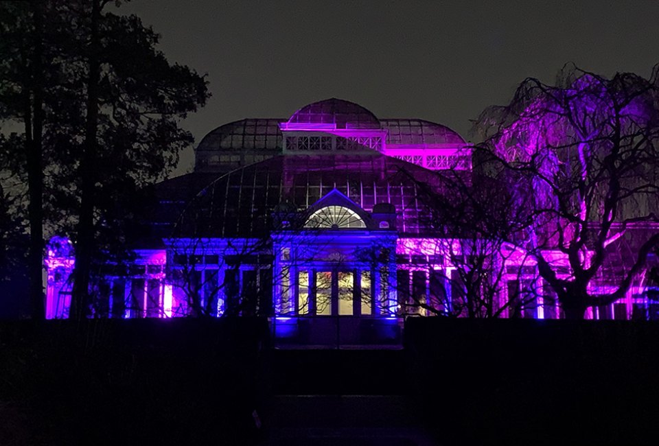 New York Botanical Garden's Enid A. Haupt Conservatory awash in colors