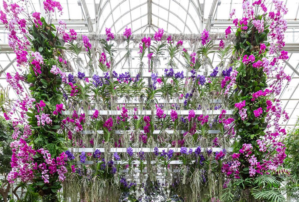 The dazzling floral creations of Jeff Leatham energize the 18th annual Orchid Show at the New York Botanical Garden. Photo courtesy of NYBG