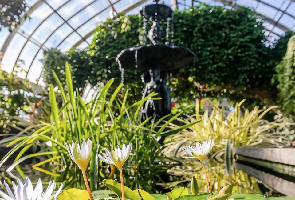 Step inside the greenhouse at the Enid A. Haupt Conservatory at th NYBG
