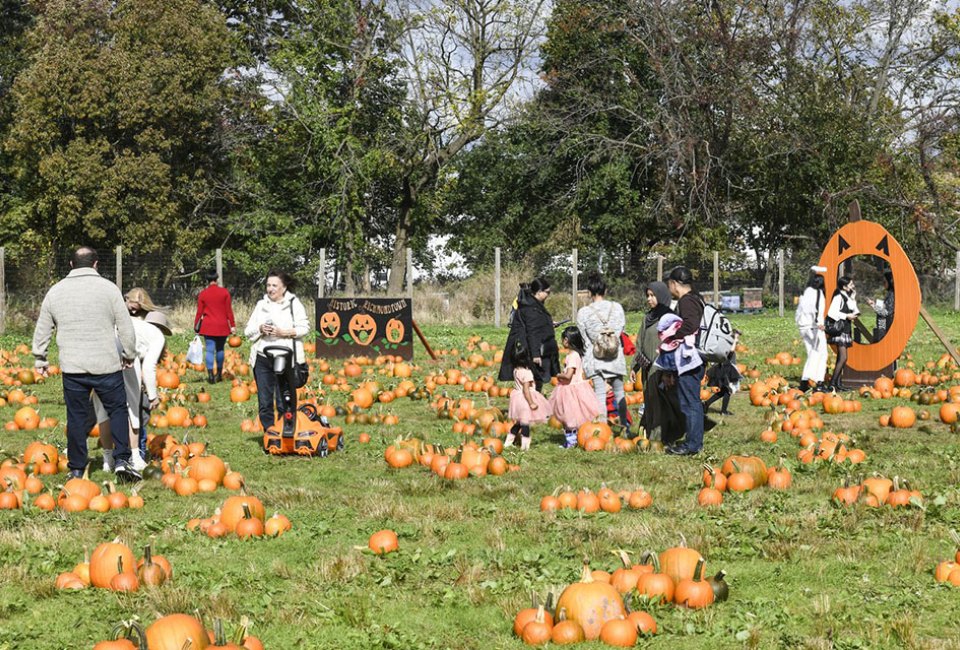 Staten Island's Historic Richmond Town is home to Decker Farm, which comes alive with Halloween spirit all season long. Photo courtesy of Decker Farm