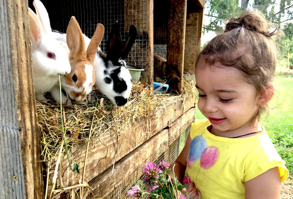 These farm stays near NYC let city kids get close to farm animals like bunnies, cows, chickens, sheep, and more. Photo courtesy of Hull-O Farms