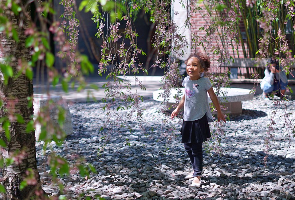 Relax in the serene garden at the Noguchi Museum during its free Community Day. Photo by Jody Mercier