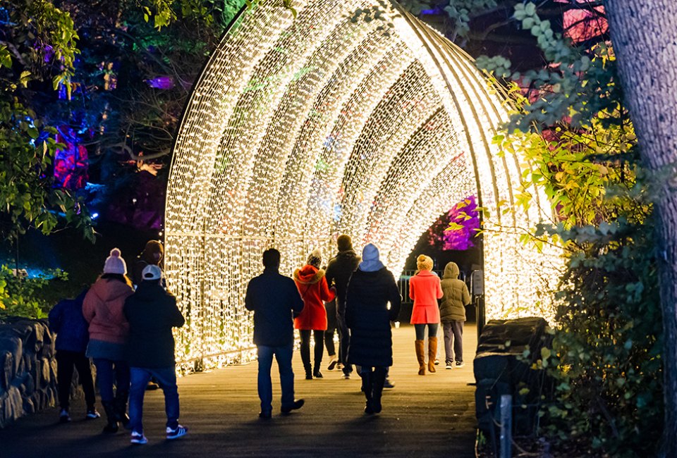 Lightscape at the Brooklyn Botanic Garden has become an enchanting holiday tradition for many families. Photo courtesy of the garden