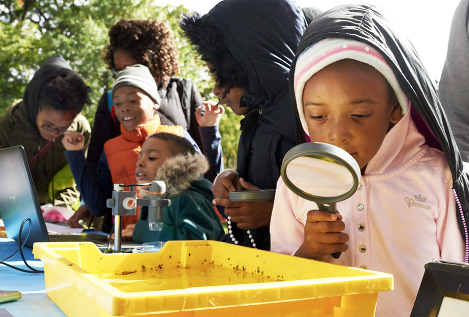 Join Prospect Park Alliance for school recess programs daily from Monday, February 20-Friday, February 24. Photo courtesy of the Prospect Park Alliance