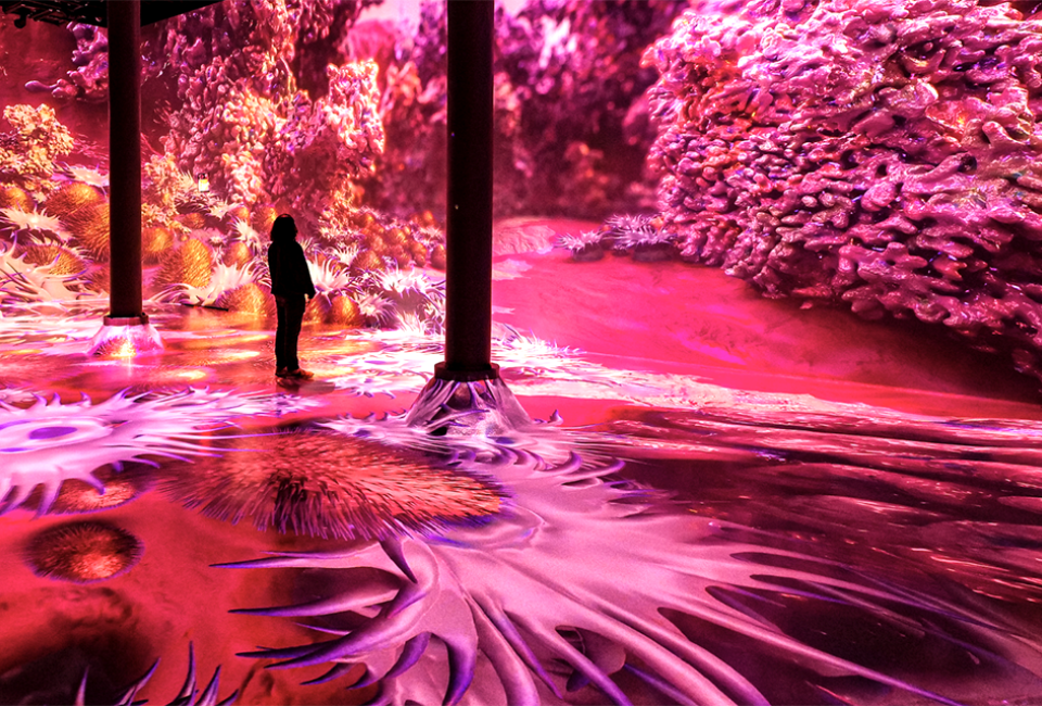 Step into the Magentaverse at Artechouse in the Chelsea Market for an immersive art installation. Photo courtesy of ARTECHOUSE