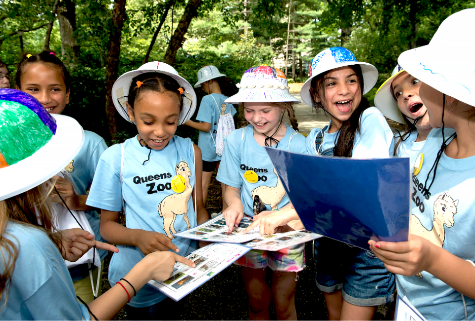 The Queens Zoo offers zoo summer camps for kids ranging in age from 18 months up to 13 years covering a variety of wild themes. Photo courtesy of WCS