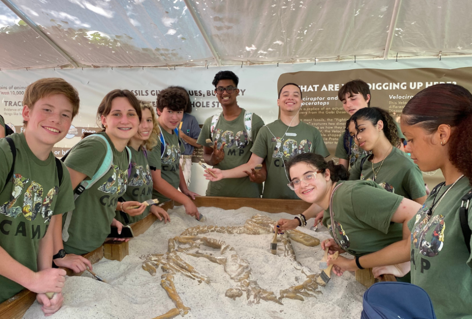 Dig up some bones at a Wildlife Conservation Society (WCS) Education Summer Camp. Photo courtesy WCS