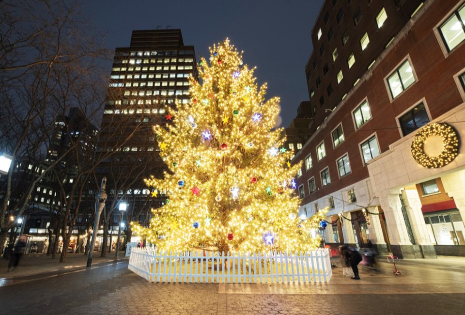 Celebrate the start of the holiday season at the Light Up Brooklyn Commons Christmas tree lighting. Photo by Jakob Dahlin/courtesy of Brookfield Properties
