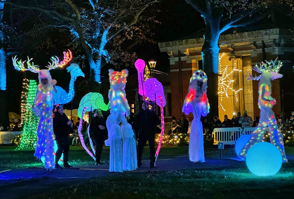 The Bronx Zoo lights up at night during the 2024 holiday season. Photo by Ally Noel