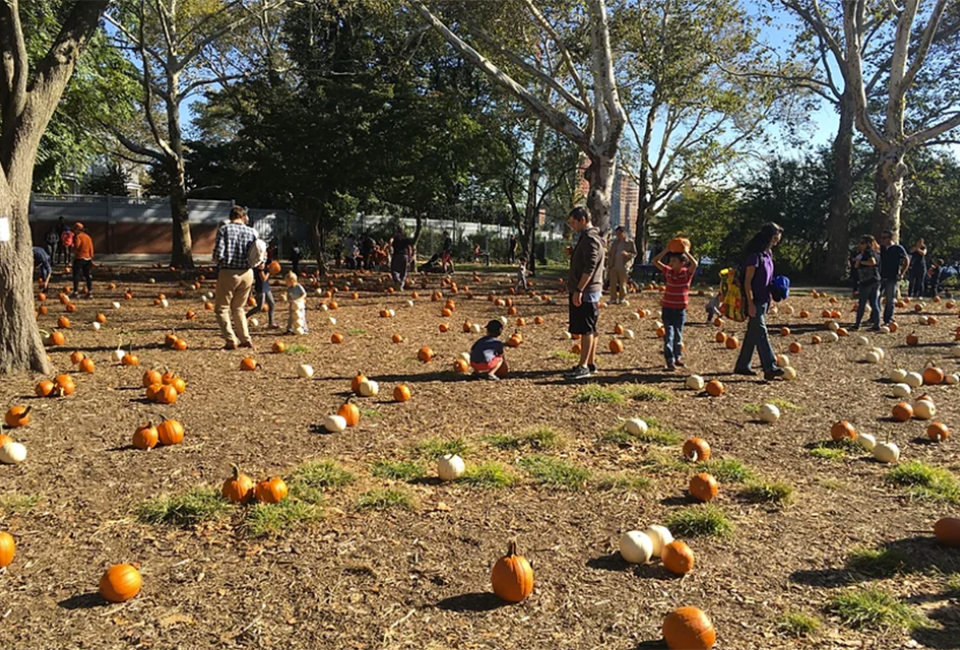 Carl Schurz Park's annual Harvest Fest packs a punch with plenty of festive fall activities for the whole family. Photo courtesy of the event