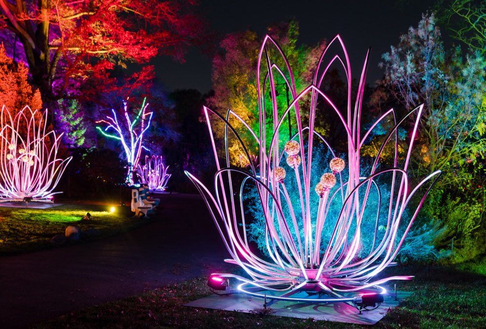 Explore the Brooklyn Botanic Garden's after-dark, illuminated spectacular Lightscape, and celebrate the beauty of nature in winter  Photo courtesy of the gardens