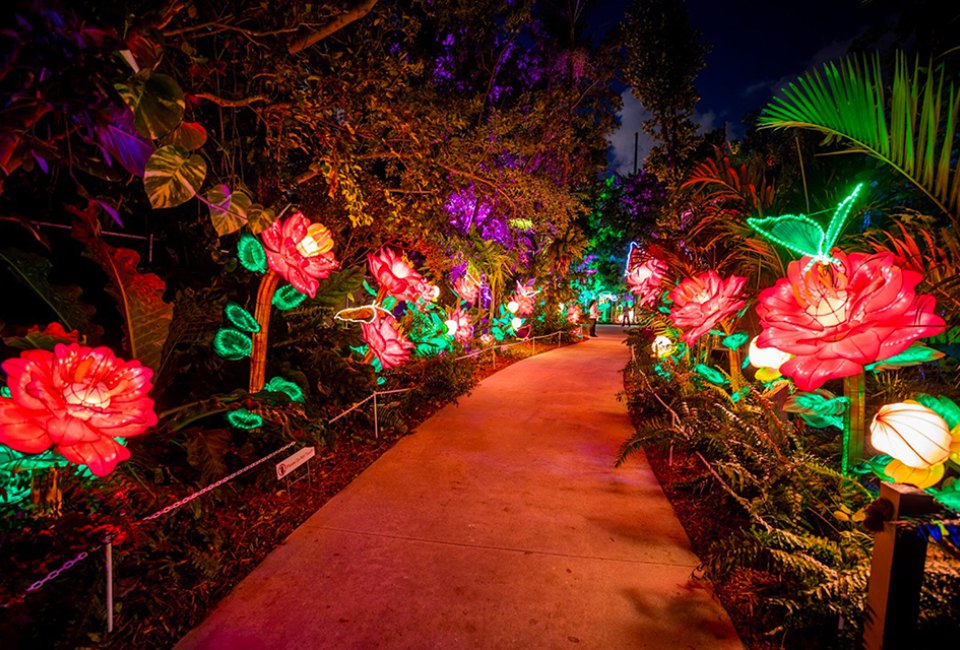 Experience a kaleidoscope of photo-ops, plus acrobatic shows, tasty food, craft cocktails, live music, and more at the captivating light festival, Lektrik, at the Queens Botanical Garden. Photo courtesy of Fever