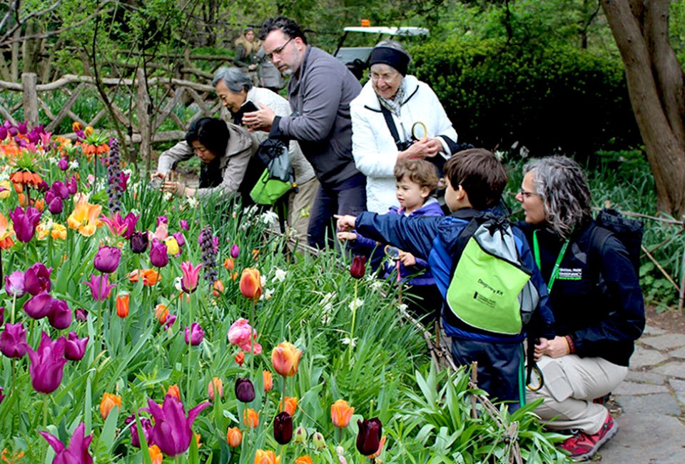 Next time grandma and grandpa visit, take a stroll through Central Park. Photo courtesy of Central Park Conservancy