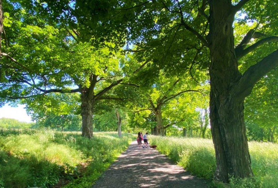 Family strolling the green paths during a Mother's Day outing at Rockefeller State Park Preserve
