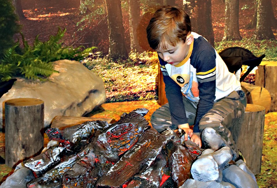 Survival: The Exhibition teaches kids hands-on skills to overcome real-world emergencies.
