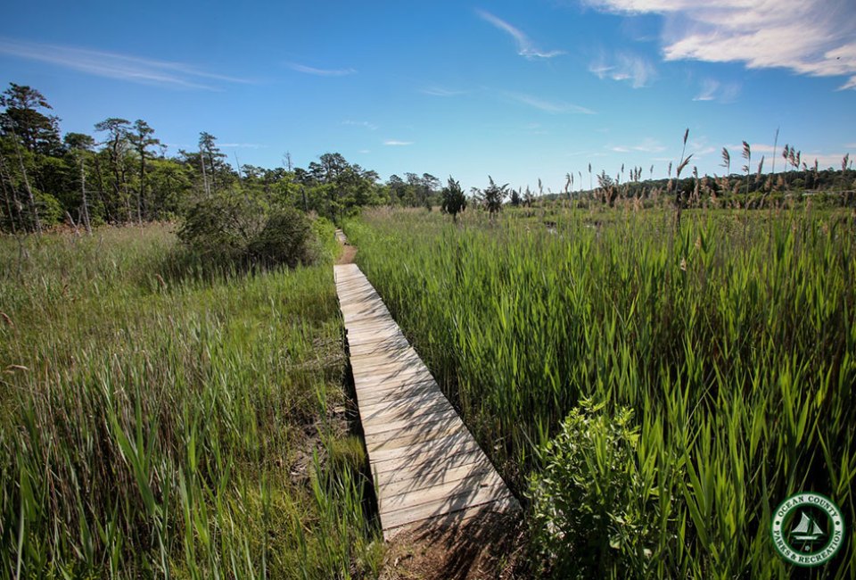 Learn about the great outdoors from a naturalist on Cattus Island nature walks. Photo courtesy of Ocean County Parks