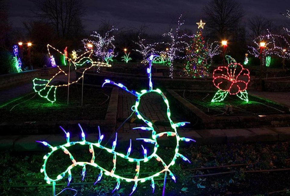 See nature-themed holiday lights at Holiday Lights in Bloom