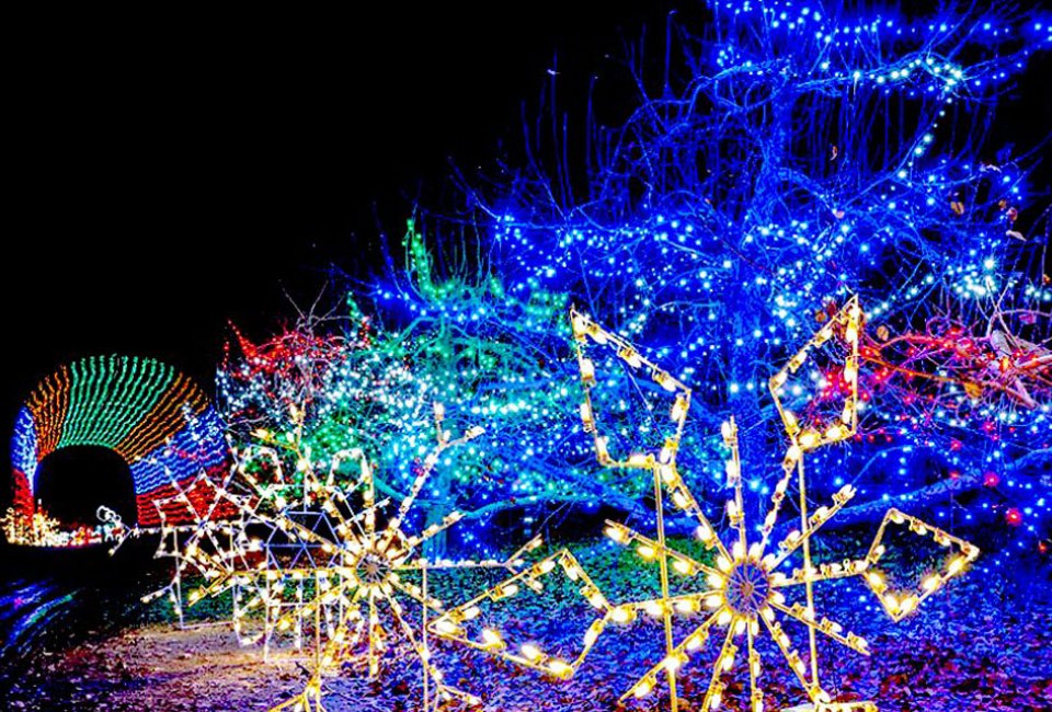 Demarest Farms is adorned with holiday lights this season as its popular Orchard of Lights returns for another holiday run. Photo courtesy of the farm