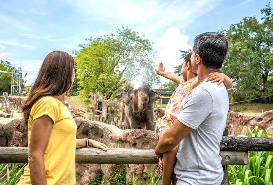 Meet animals from around the world at Busch Gardens Tampa Bay. Photo courtesy of Busch Gardens