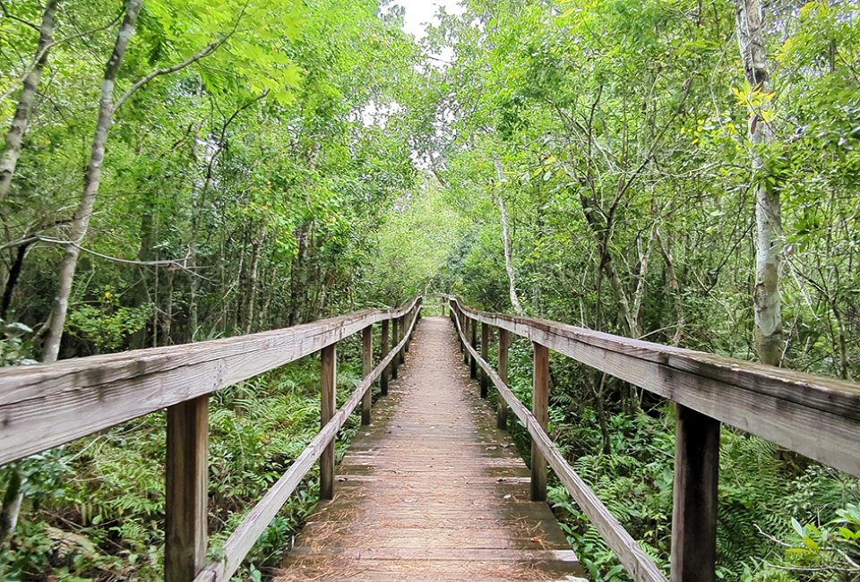 Kewanee Park Boardwalk – Casselberry