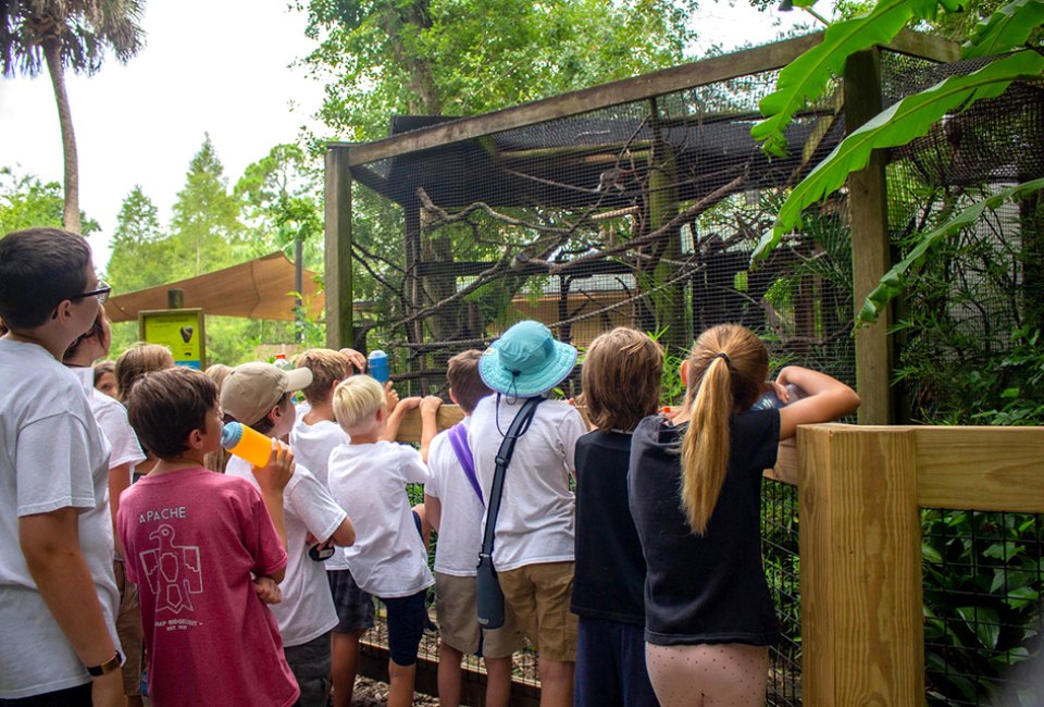 If your little ones are animal lovers or love learning about nature, the Central Florida Zoo offers a number of hands-on adventures at Central Florida Zoo Camp. Photo courtesy of the camp
