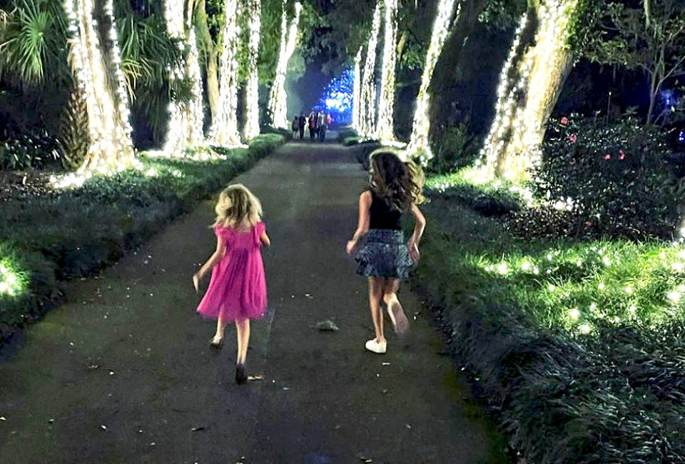 Dazzling Nights is back at Leu Gardens, with a sparkly winter wonderland, featuring music and interactive elements. Photo courtesy of Dazzling Nights