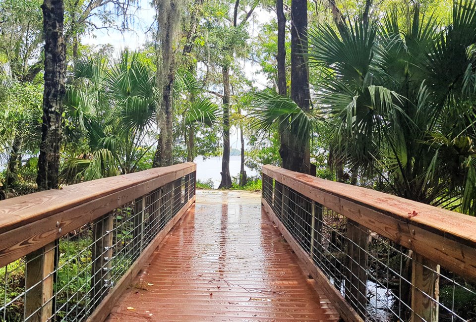 Lake Mills Boardwalk – Chuluota