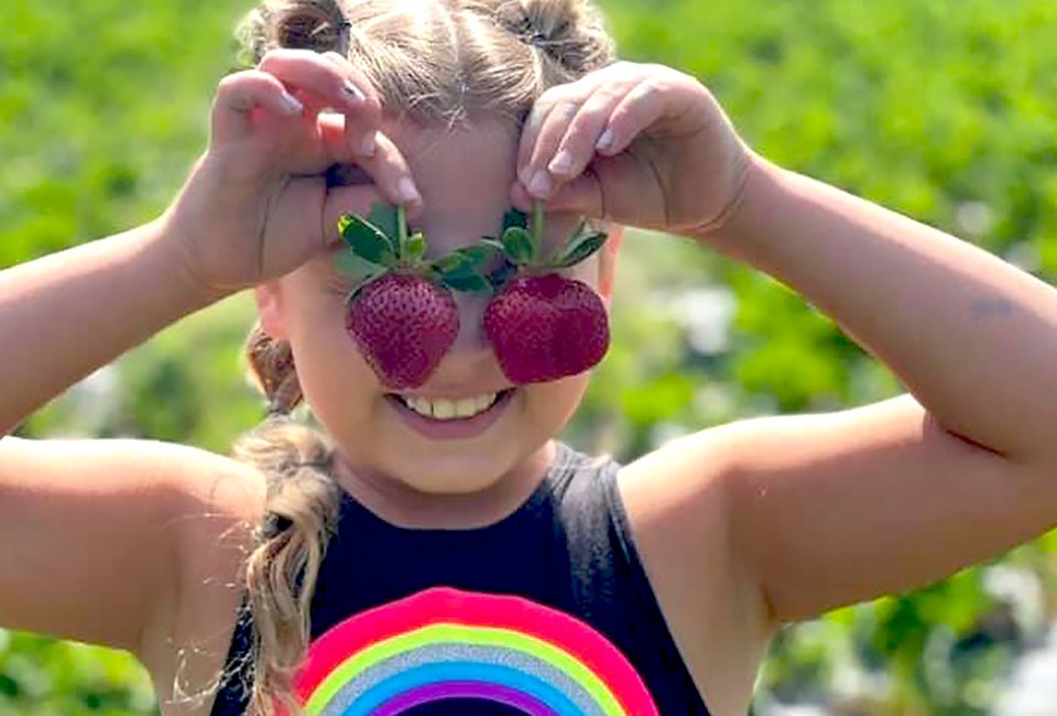 Take home ruby red treasures at LCCL Strawberry Farm. Families will love strawberry picking as a fun spring activity!