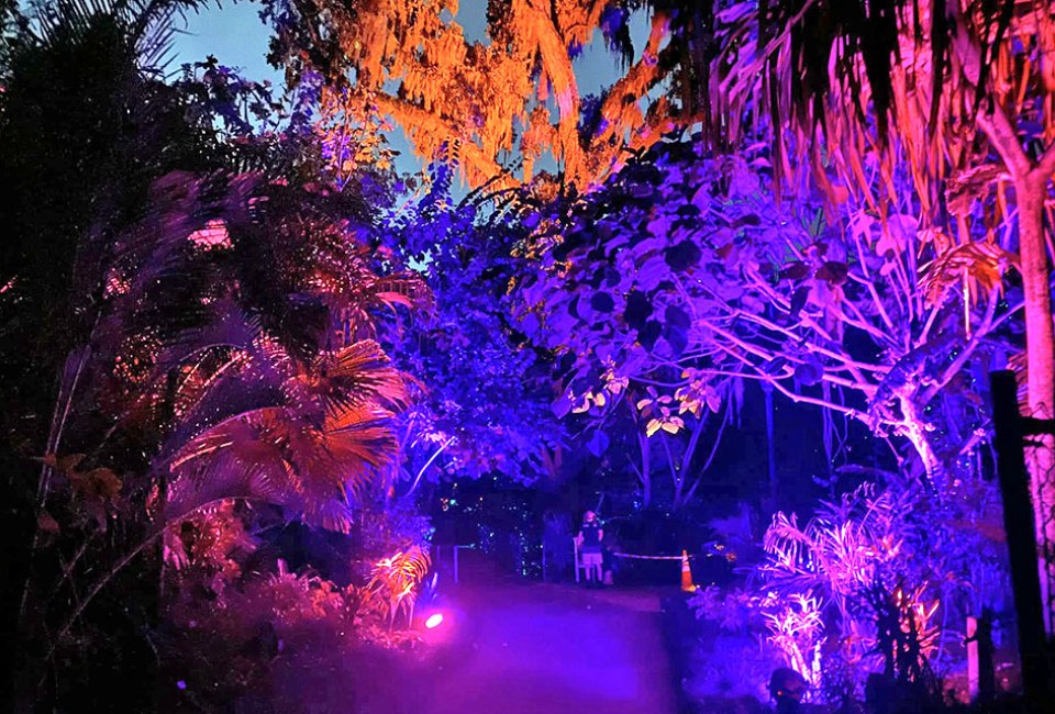 Dazzling Nights is back with a winter wonderland of lights throughout Leu Gardens. Photo courtesy of Leu Gardens