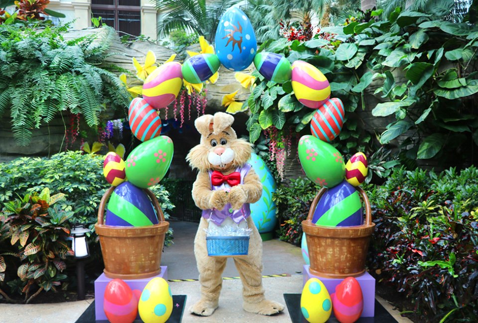 Enjoy a variety of spring activities with the Easter Bunny at Gaylord Palms' Once Upon a Spring event. Photo courtesy of the resort