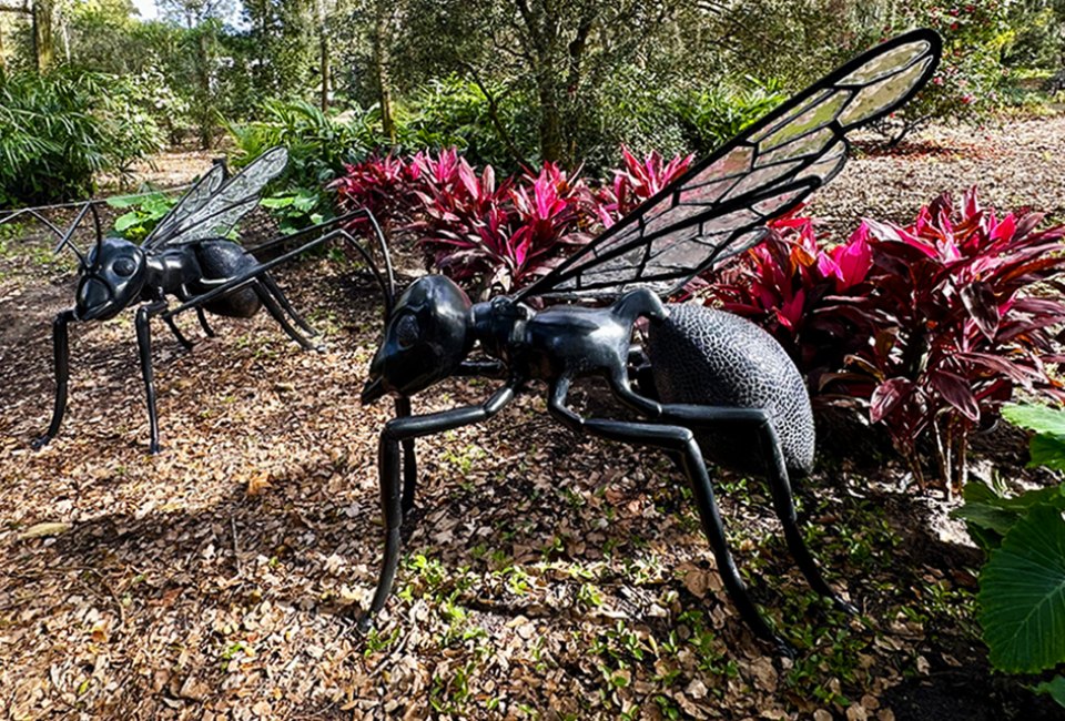 Experience amazing outdoor sculptures of flying insects and birds at Leu Gardens.