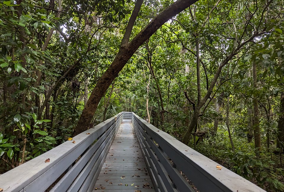 Sweetwater Park Boardwalk – Oviedo