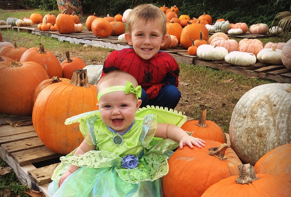 Get just the right pumpkin at East Lake Pumpkin Patch. Photo by the author