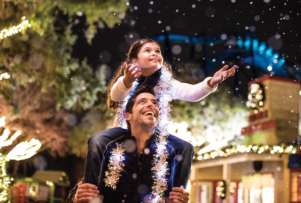 Enjoy festive foods, holiday shows, and more at SeaWorld's Christmas Celebration. Photo courtesy of SeaWorld