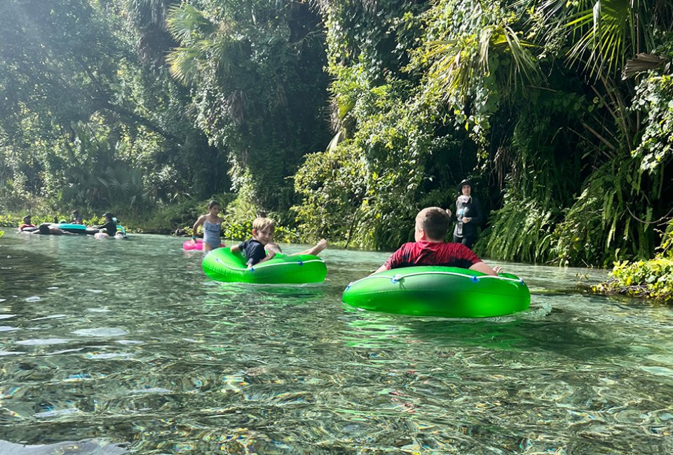 Float along in the natural spring at Kelly Park. 