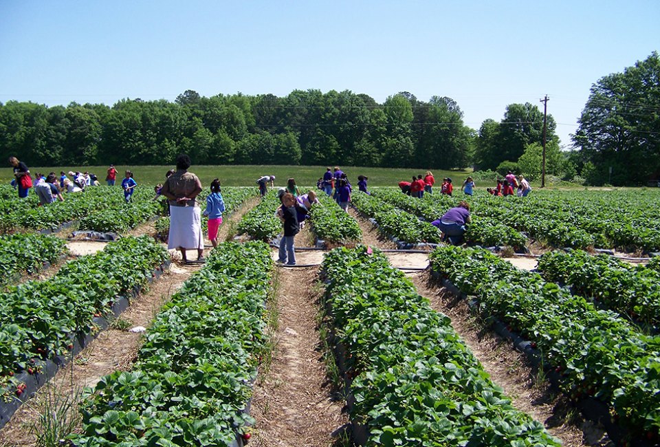 Washington Farms