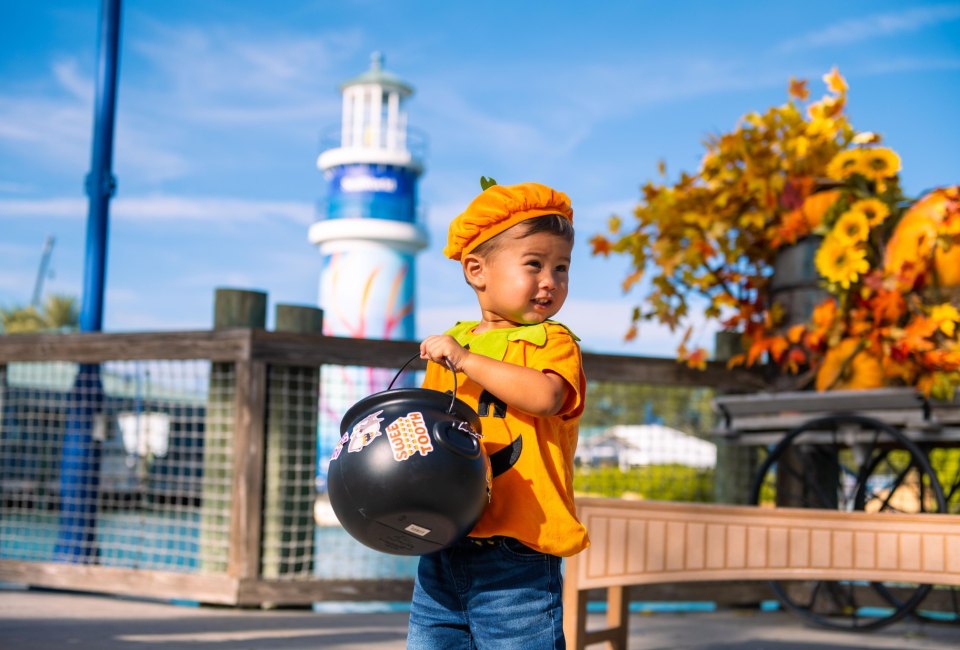 Best Halloween Activities for Toddlers in Orlando Enjoy trick-or-treating, surprises, and more at SeaWorld's Spooktacular! Photo courtesy of SeaWorld