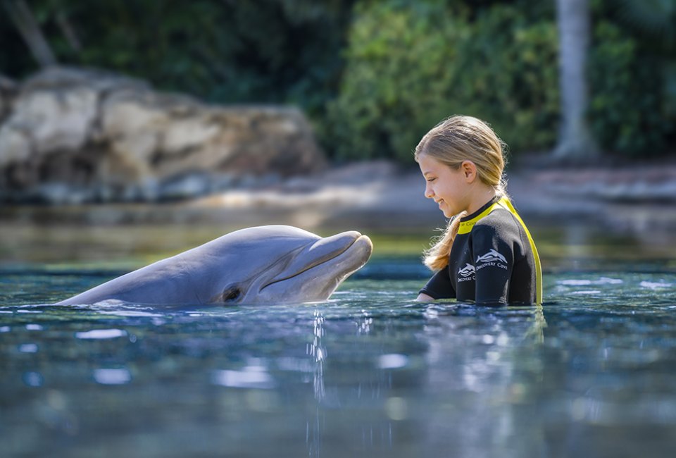 Embark on a heartwarming, up-close encounter with playful dolphins at Discovery Cove. Photo courtesy of Discovery Cove 