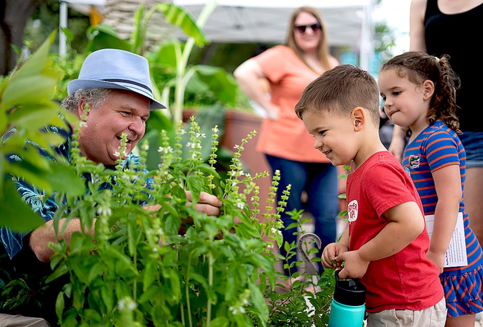 27 Spring Festivals and Fairs For Orlando Kids and Families Family Fest in Orlando focuses on STEAM activities and demonstrations for kids.
