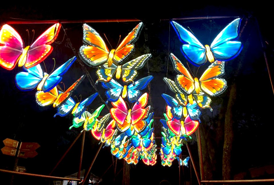 Central Florida Zoo's beautiful, walk-through experience, Asian Lantern Festival: Into the Wild, is open now until January 14. Photo by the author