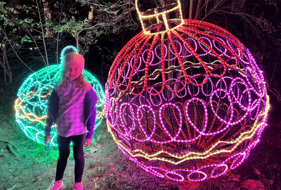 Don't miss your last chance to experience the vibrant artistry of Leu Gardens' Dazzling Nights this weekend. Photo by the author